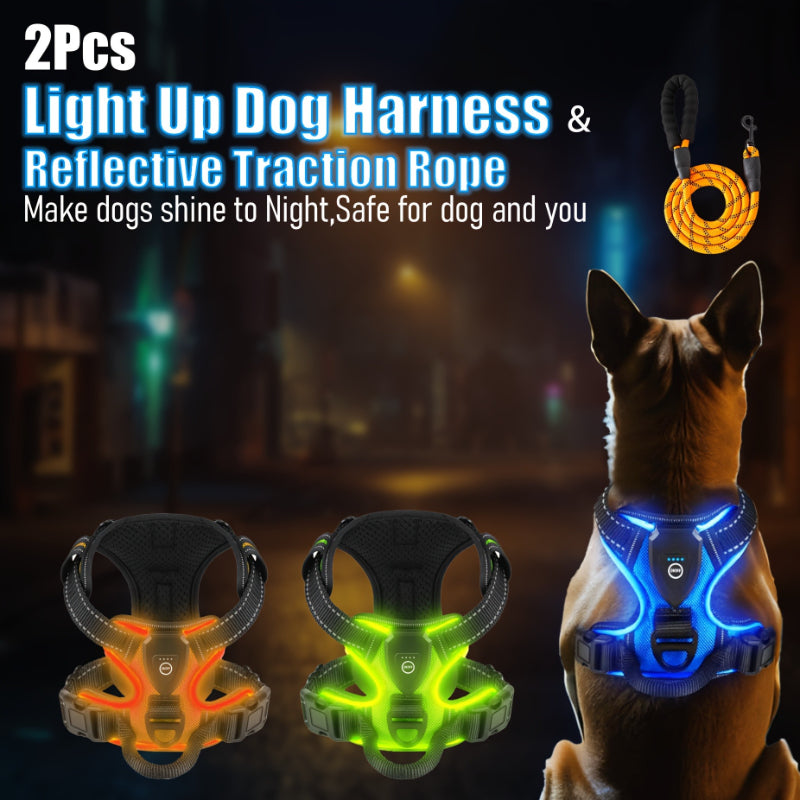 2‑Pack Night Light Dog Harness Set