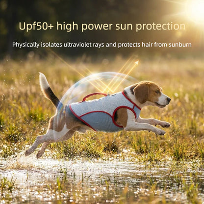 Cooling Summer Vest for Medium & Large Dogs