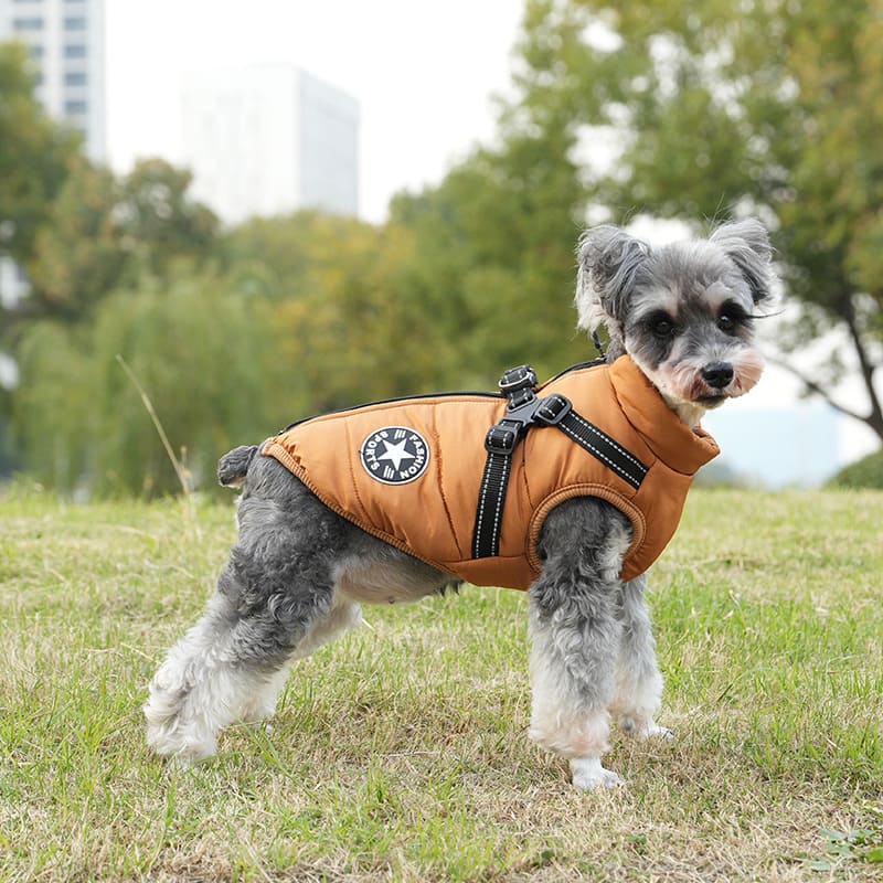 Pawbb™ - Waterproof Winter Jacket with Built-in Harness