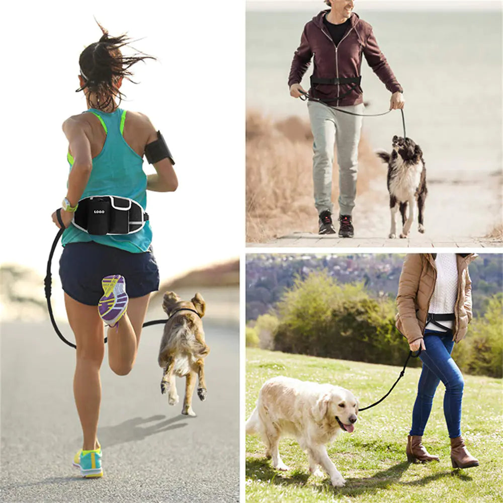 Hands-Free Dog Walking Set