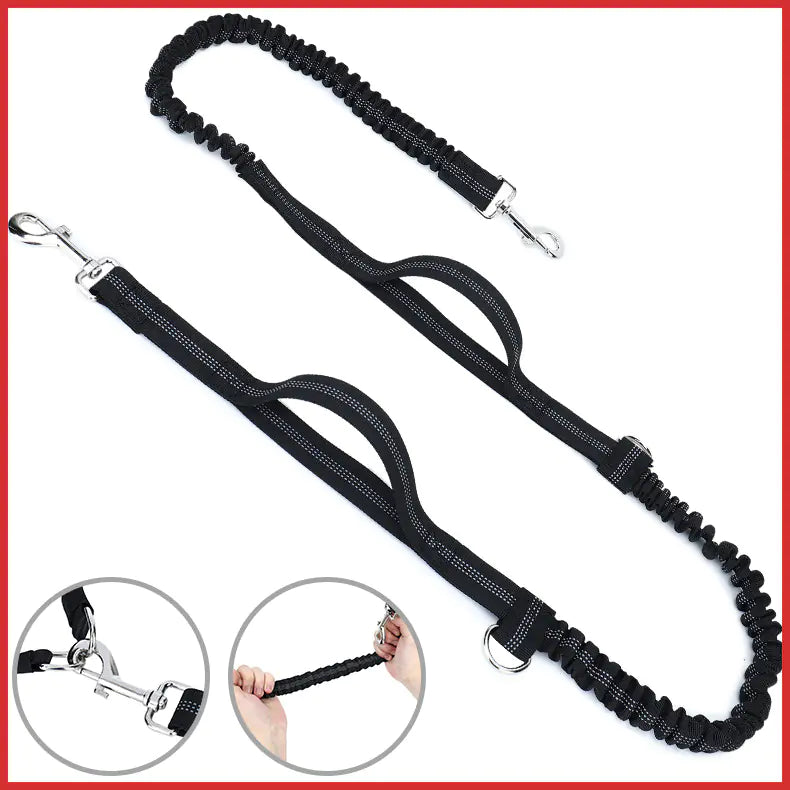 Hands-Free Dog Walking Set