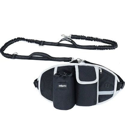 Hands-Free Dog Walking Set