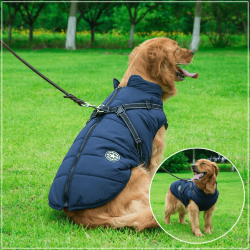 Pawbb Waterproof Winter Jacket with Built in Harness pawbb