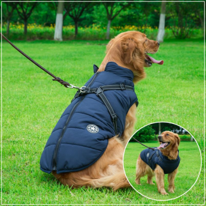 Pawbb™ - Waterproof Winter Jacket with Built-in Harness