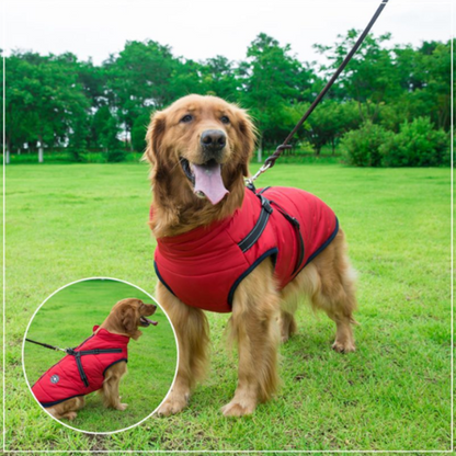 Pawbb™ - Waterproof Winter Jacket with Built-in Harness