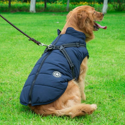 Pawbb™ - Waterproof Winter Jacket with Built-in Harness