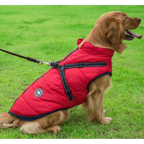 Dog jacket top with harness