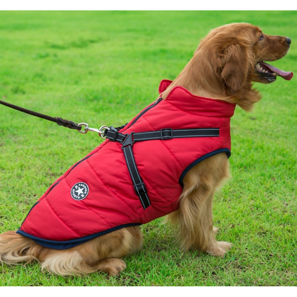 Pawbb™ - Waterproof Jacket Harness-Black