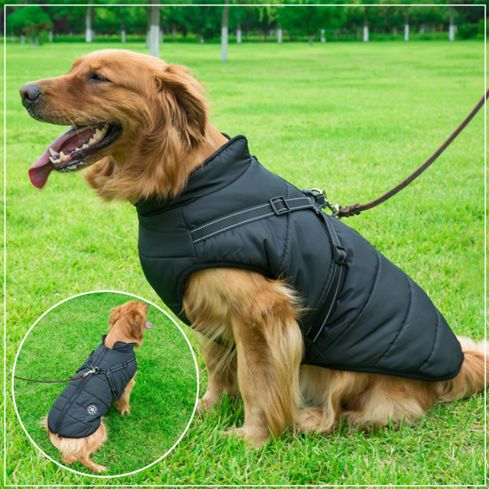Dog winter jacket with harness outlet